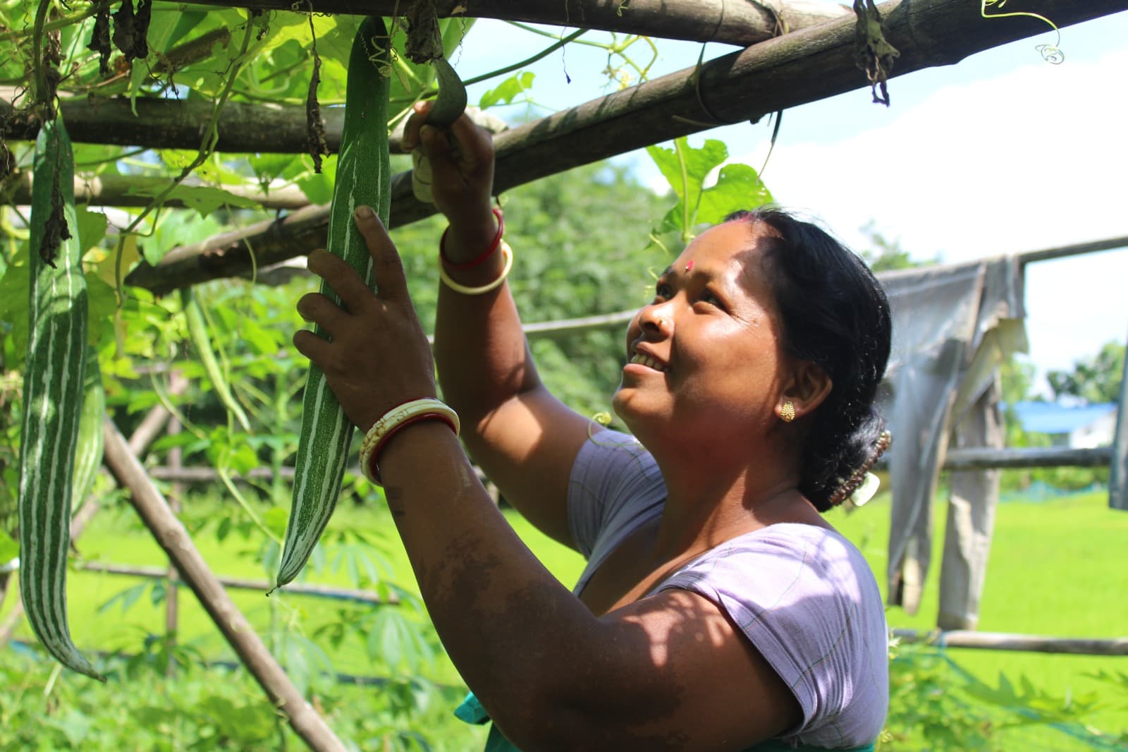 Our Proven Approach - 2